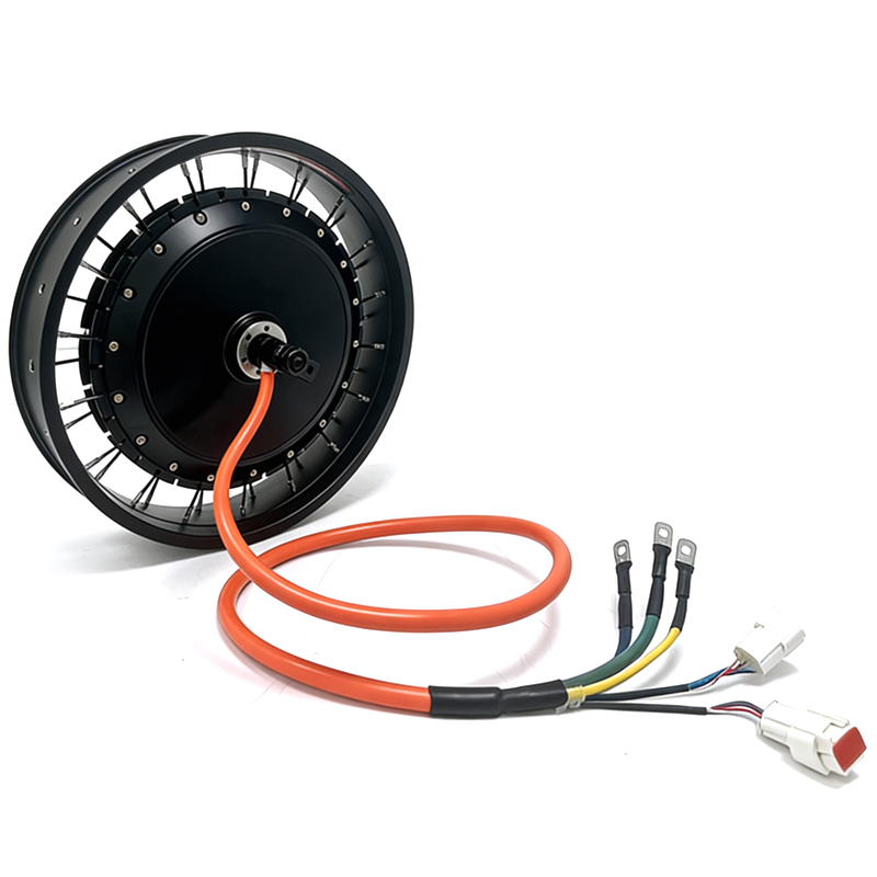 NBpower/QS 273 40H 48-96V, nom - Qs Motor 273 8000W Hub Motor incelemesi ve fiyatı
